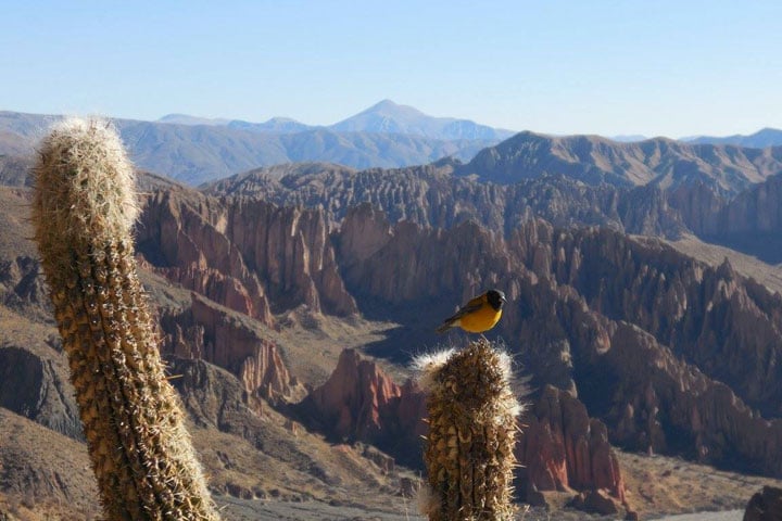 Paysages Tupiza Bolivie