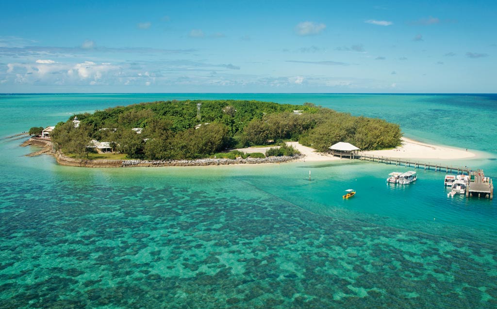  Heron Island - Grande barrière de corail- Australie