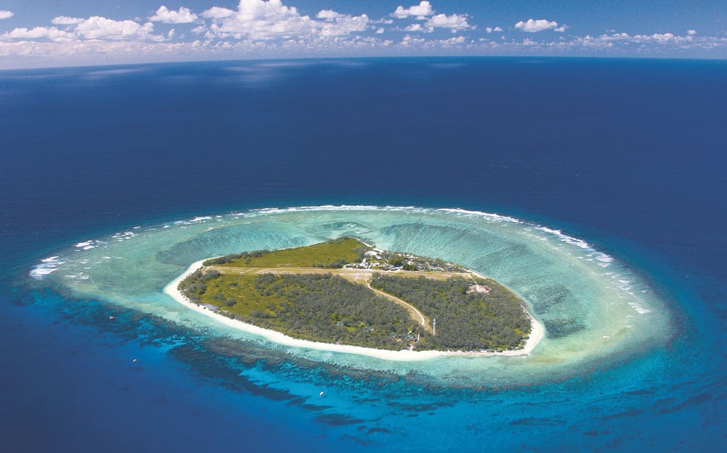 Lady Elliot Island -grande barrière de corail -Australie