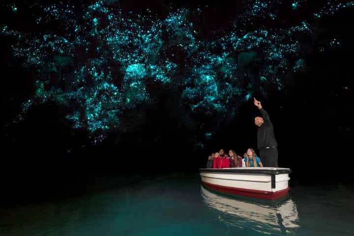 Waitomo-Glowworm-Caves-nouvelle zelande