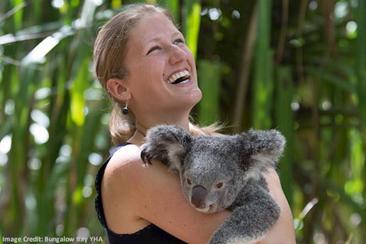 Magnetic Island YHA - koalas - auberges de jeunesse insolites en Australie