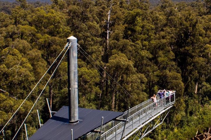 Tahune Airwalk Lodge - auberges de jeunesse insolites en Australie