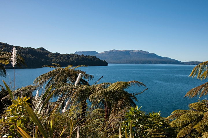 Solitaire lodge - vue lac Tarawera - hébergements insolites en Nouvelle-Zélande