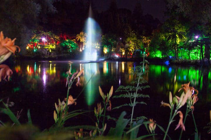 Pukekura-park-new-plymouth-festival-des-lumieres